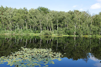 Wienpietschsee Nationalpark Müritz