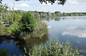 Warnker See Nationalpark Müritz