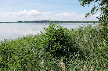 Rederang See Nationalpark Müritz