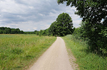 Fahrrad- und Wanderweg Nationalpark Müritz