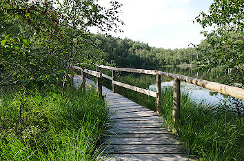 Moorwanderweg Wienpietschsee Nationalpark Müritz