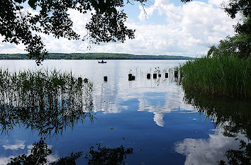 Naturparadies Tollensesee