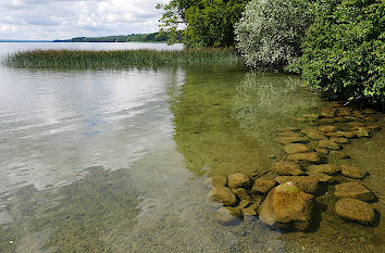 Tollensesee