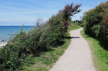 Weg Strand Ostsee Ahrenshoop