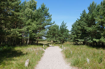 Wanderweg am Darßer Ort