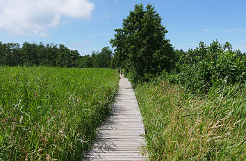 Wanderweg am Darßer Ort