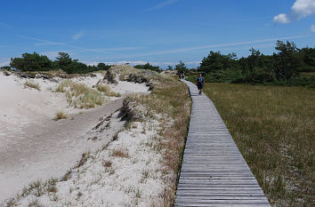 Wanderweg am Darßer Ort