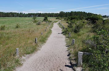 Wanderweg Darßer Ort
