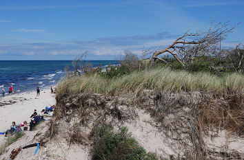 Weststrand am Darßer Ort