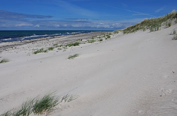 Menschenleerer Strand am Darßer Ort