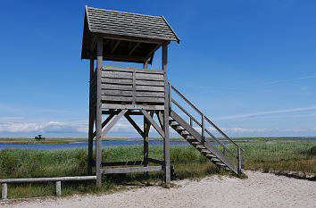 Aussichtsturm am Darßer Ort