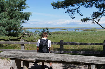 Blick auf die Wasserlandschaft am Darßer Ort