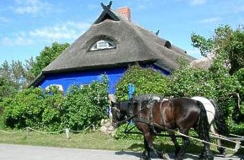 Blaue Scheune in Vitte Insel Hiddensee