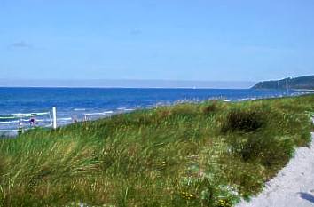 Westküste auf Hiddensee