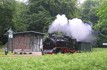 Schmalspurbahn Insel Rügen