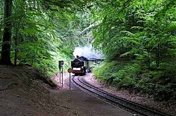 Ostsee: Schmalspurbahn Rasender Roland