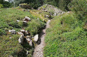 Alpinum im Botanischen Garten Universität Rostock