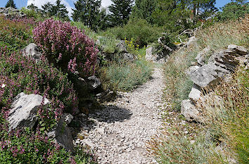 Alpinum im Botanischen Garten Rostock