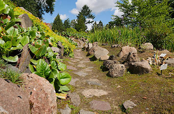 Weg im Botanischen Garten der Uni Rostock