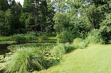 Feuchtlandschaft im Botanischen Garten Rostock