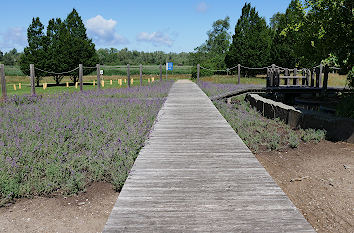 Themengarten im IGA Park Rostock