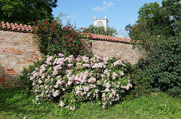 Stadtmauer Kloster zum Heiligen Kreuz