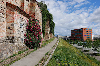 Stadtmauer Rostock Petrischanze
