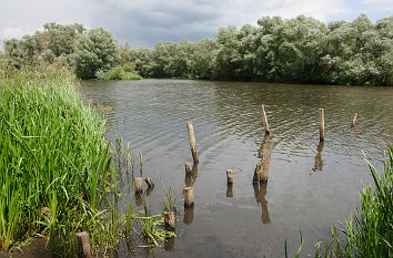 Hitzacker See