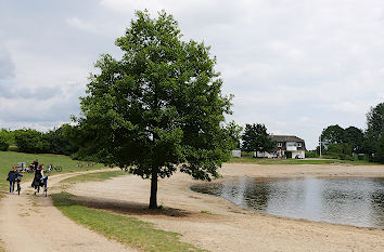 Badestrand Inselsee Scharnebeck