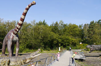 Steg durch die Saurier im Saurierpark