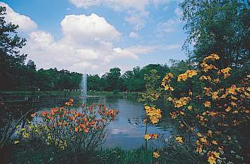 Rhododendronpark D. G. Hobbie