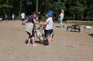 Streichelzoo im Wildpark Schwarze Berge