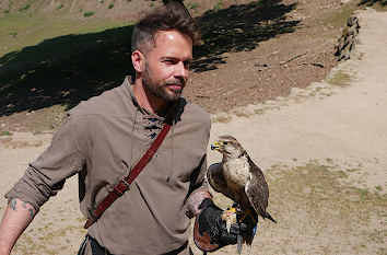 Falkner Vogelschau Wildpark Schwarze Berge