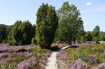 Wanderweg am Steingrund