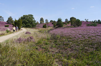 Wilseder Berg und Heidedorf Wilsede