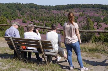 Blick in den Totengrund bei Wilsede