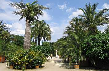 Palmengarten Kurpark von Bad Pyrmont