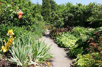 Park der Gärten in Bad Zwischenahn