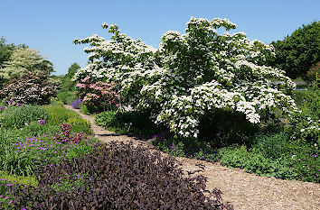 Park der Gärten in Bad Zwischenahn