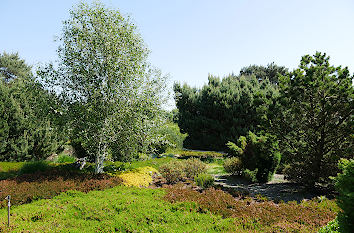 Heidepark im Park der Gärten in Bad Zwischenahn