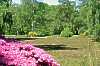 Rhododendronpark in Bremen