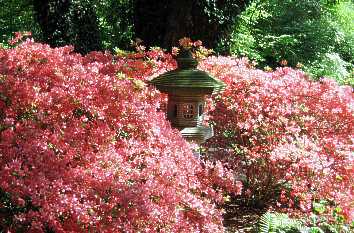 Botanika und Rhododendronpark