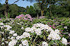 Rhododendronpark in Bremen