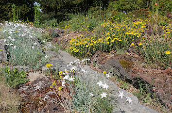 Steingarten Botanischer Garten Bremen