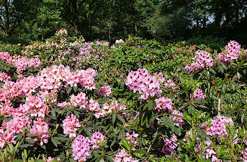 Bremer Rhododendronpark
