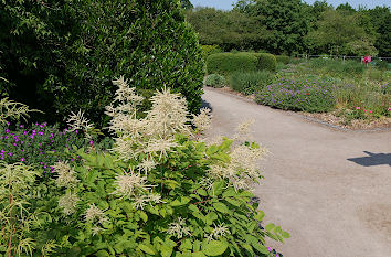 Rosengarten im Natur- und Erlebnispark Bremervörde