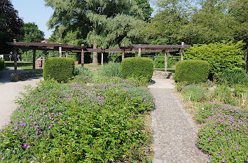 Rosengarten im Natur- und Erlebnispark Bremervörde