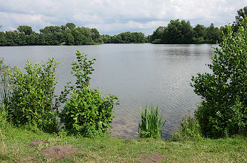 Thielenburger See in Dannenberg