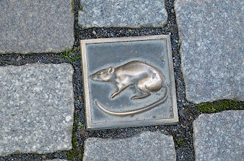 Pflastersteine mit Ratte in Hameln
