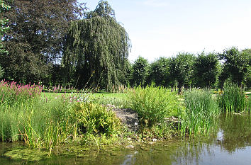 Teich im Berggarten